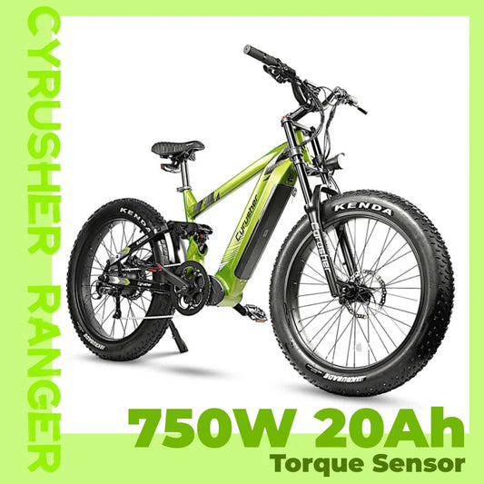 Cyrusher Ranger New High-Capacity Battery with Color LCD Screen and Two-Color Frame for Electric Bicycle E-Bike