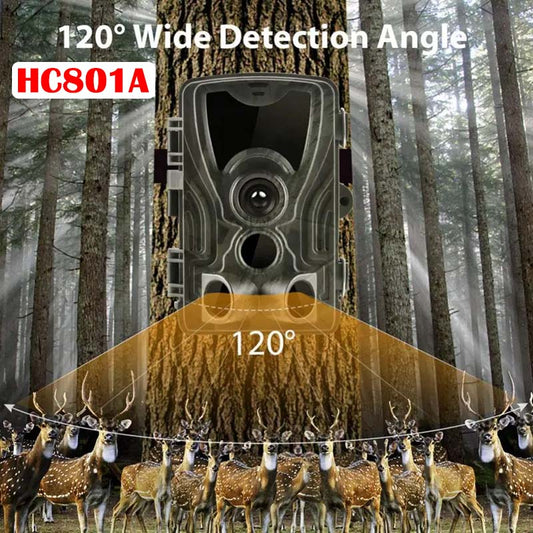HC801A Trail Camera 1080P Motion Activated Outdoor Trail Scouting Night Vision Viewer for Hunting with 32GB TF Card